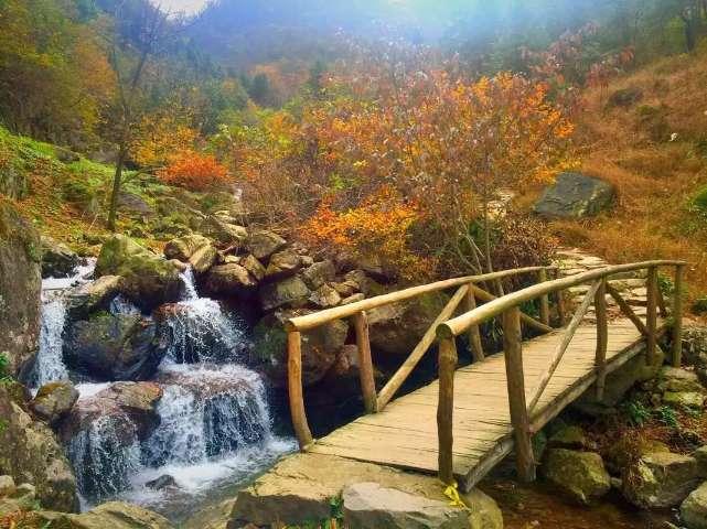 二甲灭草松对水稻分蘖有影响吗？